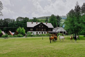 Penzion Račí údolí Javornik